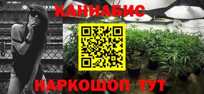 прущие грибы Комсомольск-на-Амуре