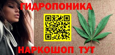 прущие грибы Комсомольск-на-Амуре