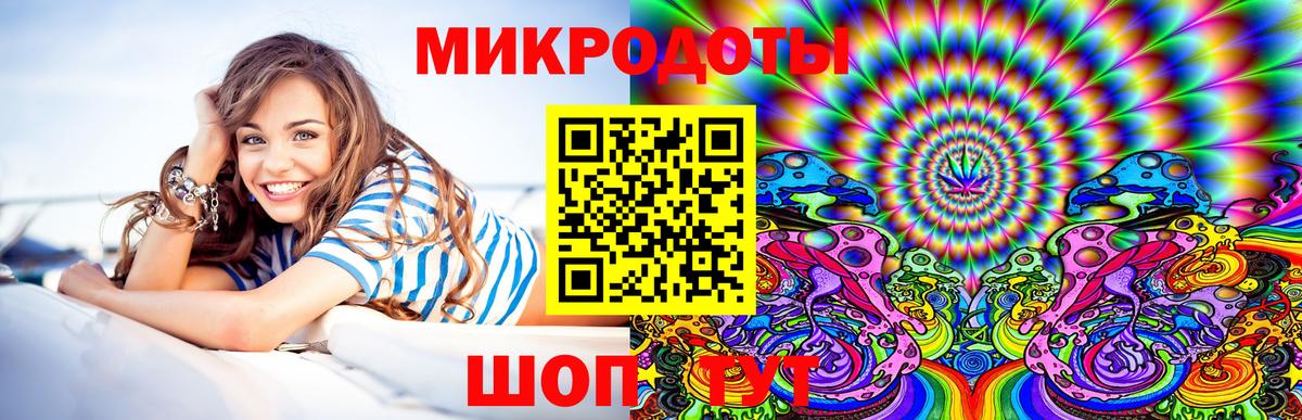 Кудрово  Галлюциногенные грибы GOLDEN TEACHER  Вход с VPN 